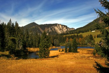 深圳坪山区1民间私贷攻略：揭秘低成本借贷的秘密