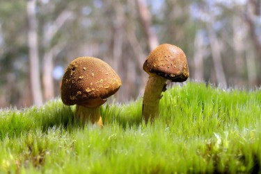 深圳坪山区1私人老板放款：轻松融资的秘密通道